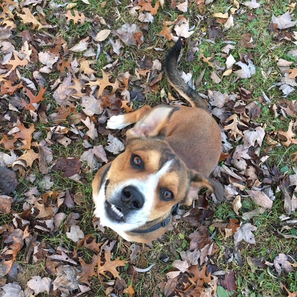 Meet your Posher, Jayla! 🖤 - Picture 3 of 4